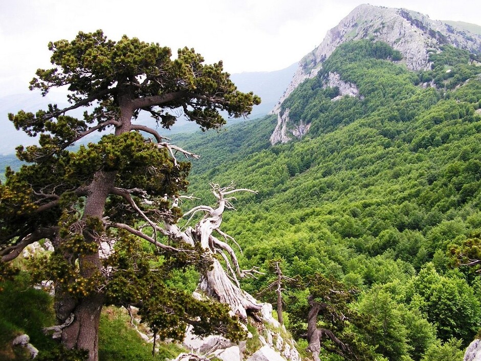 Terranova und der spektakuläre Pollino-Nationalpark - Terranova di Pollino | Secret World Trip Planner