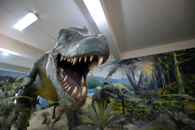 Il Museo pakistano di storia naturale (PMNH) - Islamabad | Secret World Trip Planner