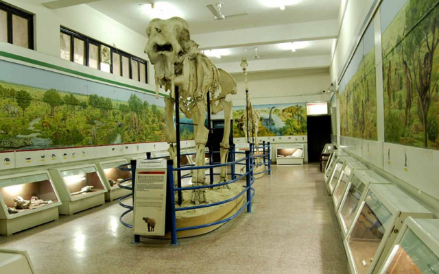 Il Museo pakistano di storia naturale (PMNH) - Islamabad | Secret World Trip Planner