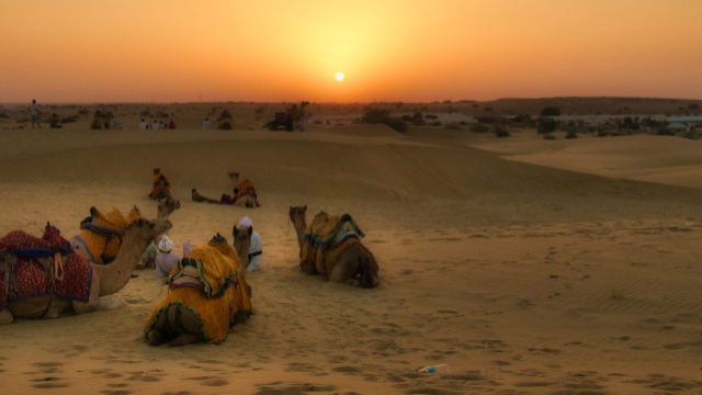 Il deserto del Cholistan, - Cholistan Desert | Secret World Trip Planner