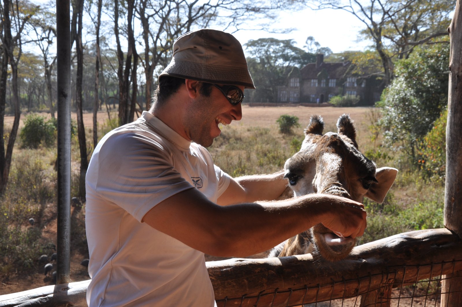 Giraffenzentrum in Nairobi - Nairobi | Secret World Trip Planner