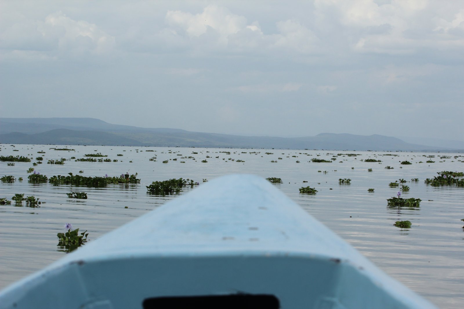 Naivaschasee - Lago Naivasha | Secret World Trip Planner