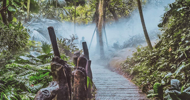 Il mondo della foresta pluviale — Xiamen