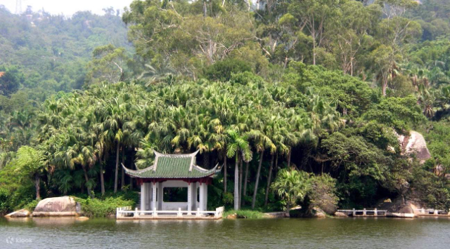 Il mondo della foresta pluviale - Xiamen | Secret World Trip Planner
