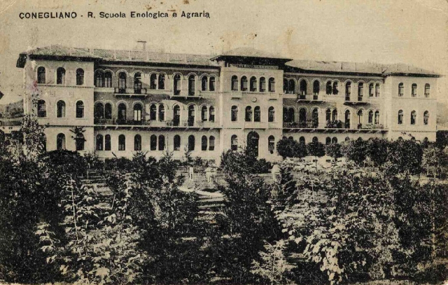 School of Enology of Conegliano — Conegliano