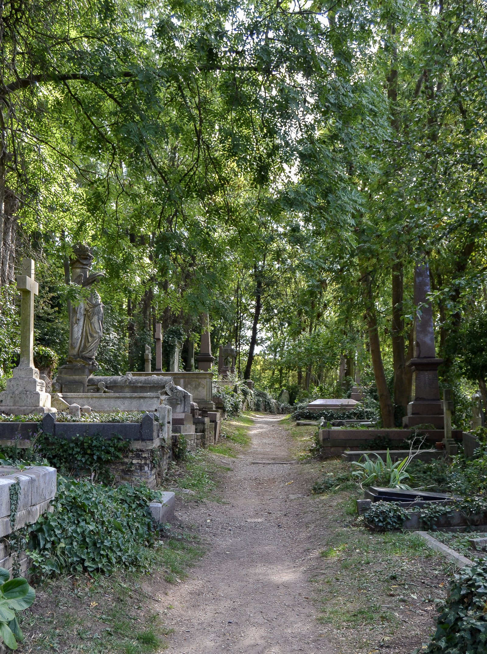 Der Kreis des Libanon und die grösste Topfpflanze der Welt - Londra | Secret World Trip Planner
