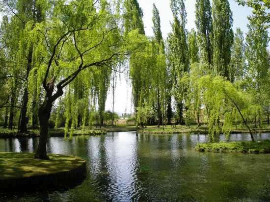 ਫੋਂਟੀ ਡੇਲ ਕਲੀਟੁਮਨੋ - Campello Sul Clitunno | Secret World Trip Planner