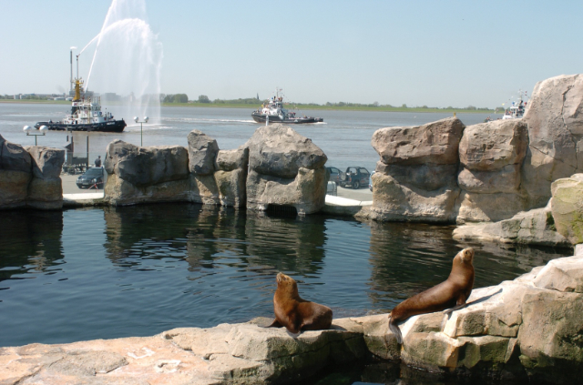 Zoo am Meer — Bremerhaven