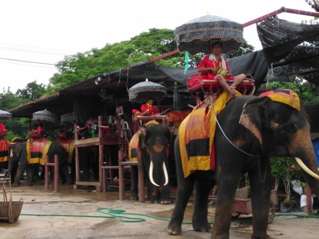 Der Elefantenkraal von Ayutthaya - Suan Plik | Secret World Trip Planner