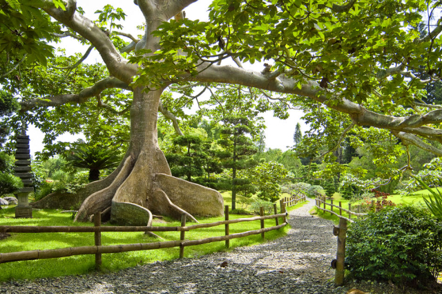 Nationaler Botanischer Garten - Santo Domingo | Secret World Trip Planner