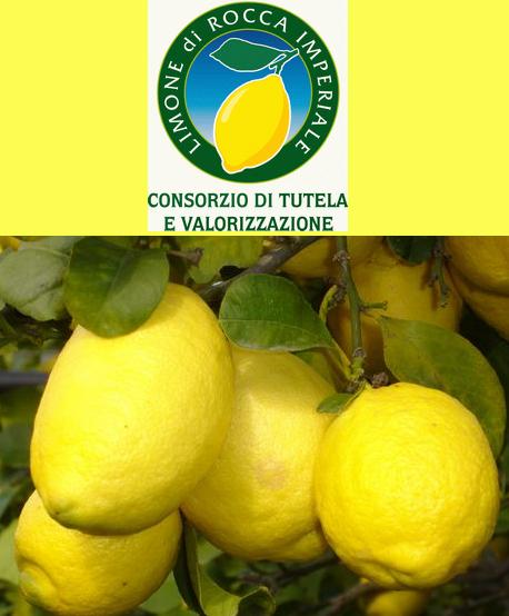 रोक्का इम्पेरियल, फ्रेडरिक II को अदालतमा - Rocca Imperiale | Secret World Trip Planner