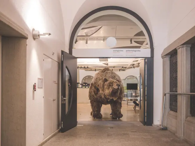 Zoologisches Museum, Universität Zürich — Zürich