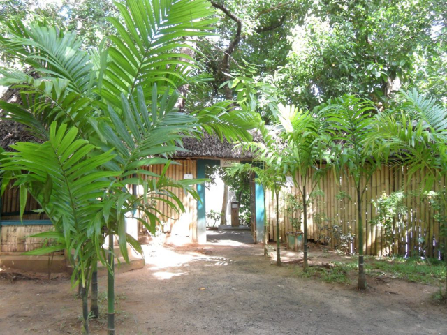 Ivoloina Park - W9R5+756 | Secret World Trip Planner