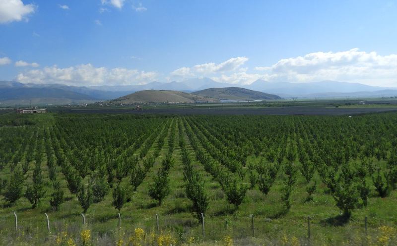 Apples of Turkey - Isparta | Secret World Trip Planner