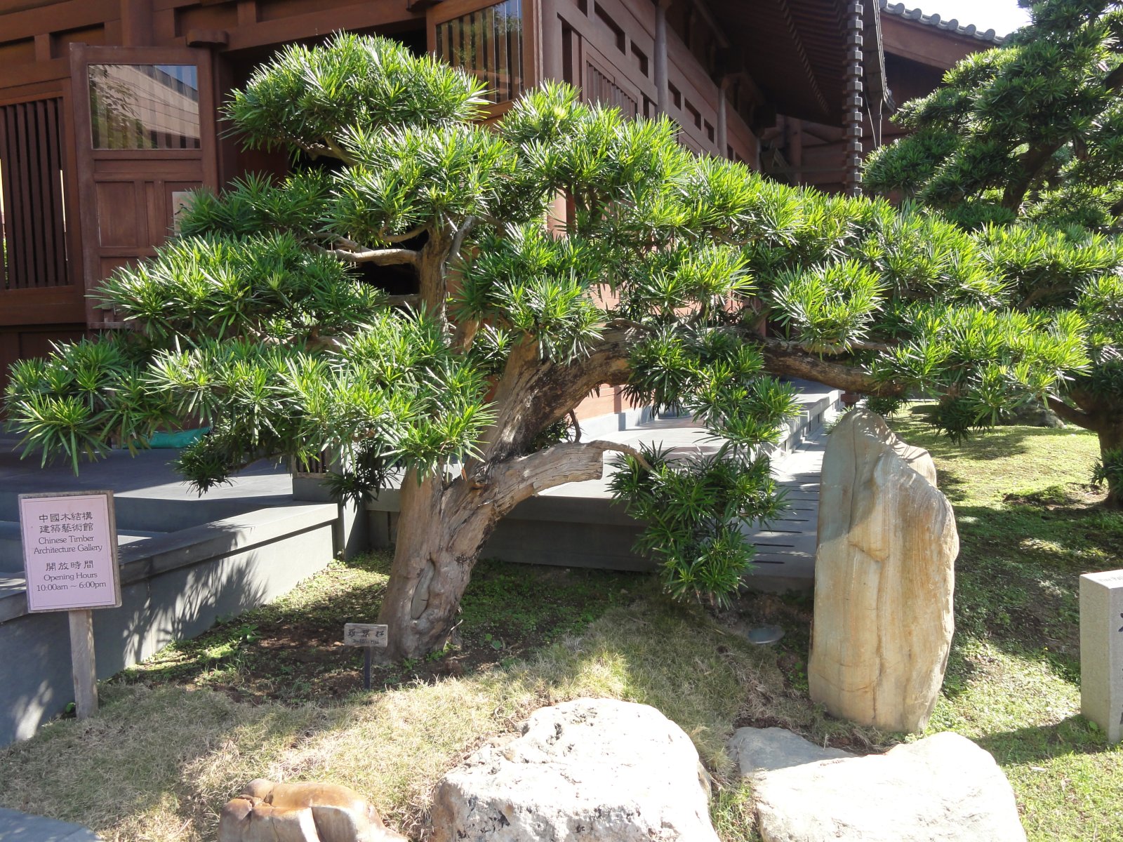 Nonnenkloster Chi Lin - Ha Yuen Leng | Secret World Trip Planner