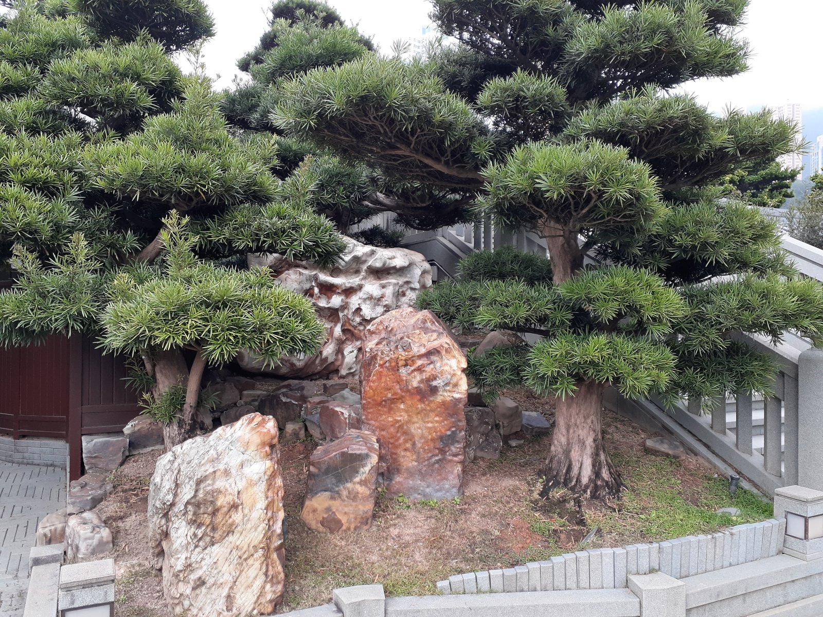 Nonnenkloster Chi Lin - Ha Yuen Leng | Secret World Trip Planner