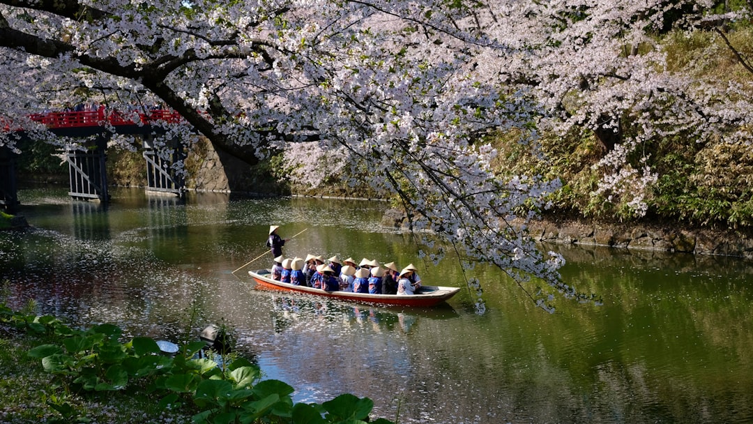 Der Hirosaki-Park ist einer der besten Kirschblütenorte Japans - ??? | Secret World Trip Planner