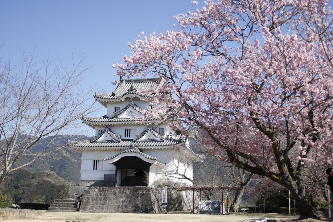 Burg Uwajima:eine von 12 Burgen aus der Edo-Zeit - Uwajima | Secret World Trip Planner