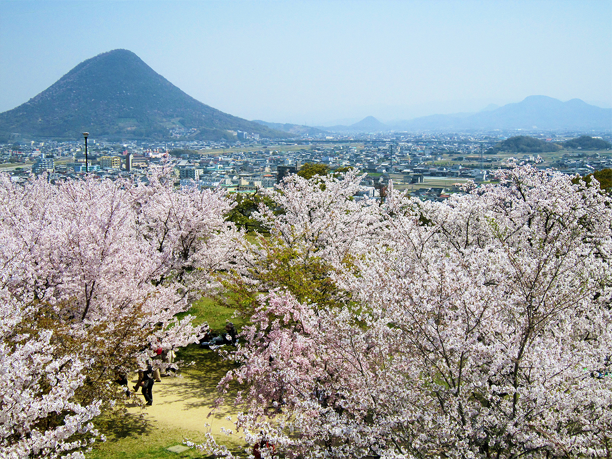 Marugame Castle also known as Kameyama Castle - Marugame | Secret World Trip Planner