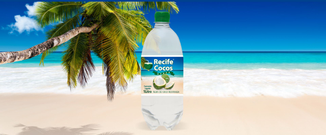 Die grüne Kakao - Recife | Secret World Trip Planner
