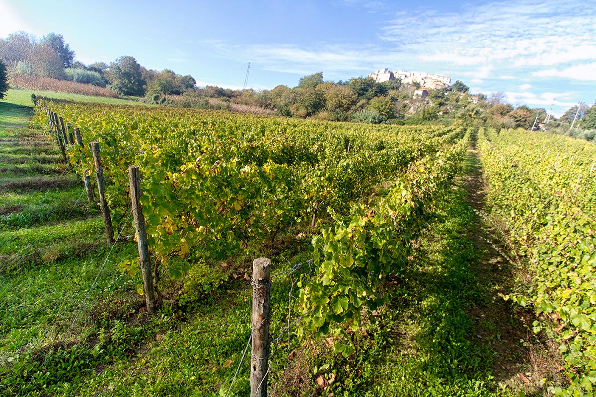 ફિયાનો ડી એવેલિનો DOCG - Provincia di Avellino | Secret World Trip Planner