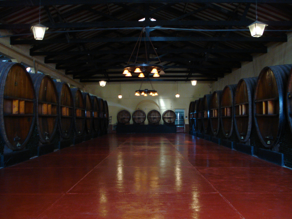 Discover the Wine Experience in Mendoza, Argentina - Rivadavia 234 | Secret World Trip Planner