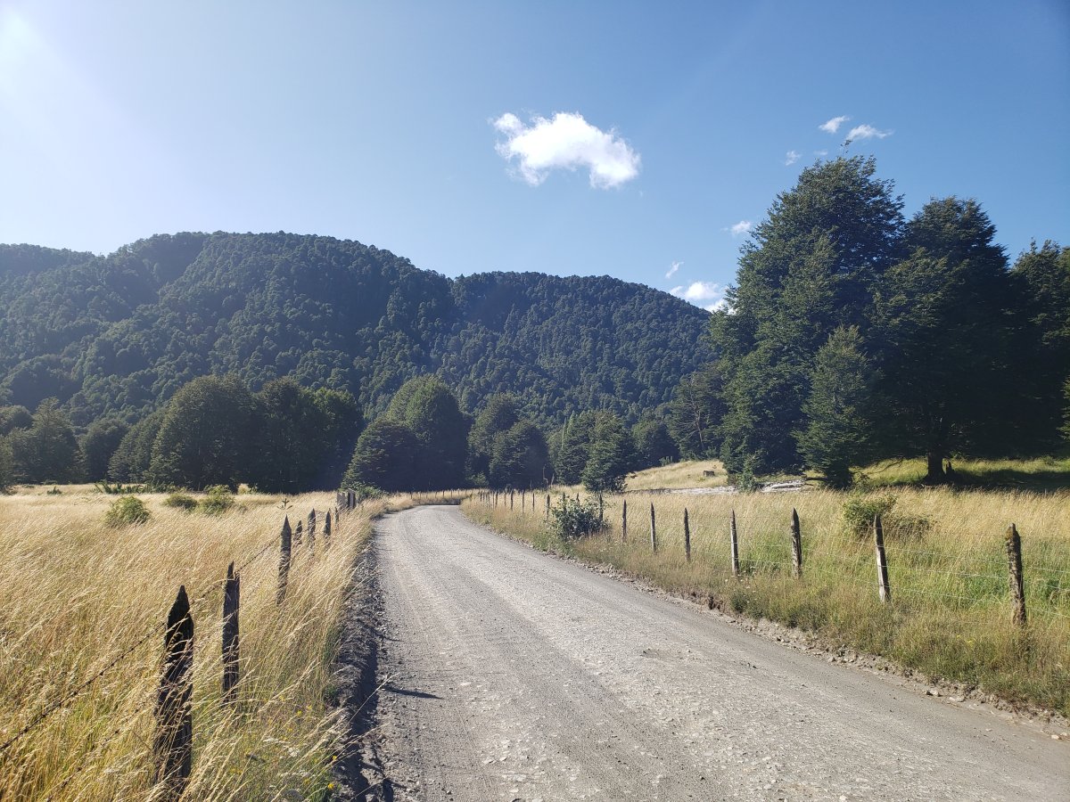 Termas Geometricas: Ein Naturparadies in Chile — Panguipulli