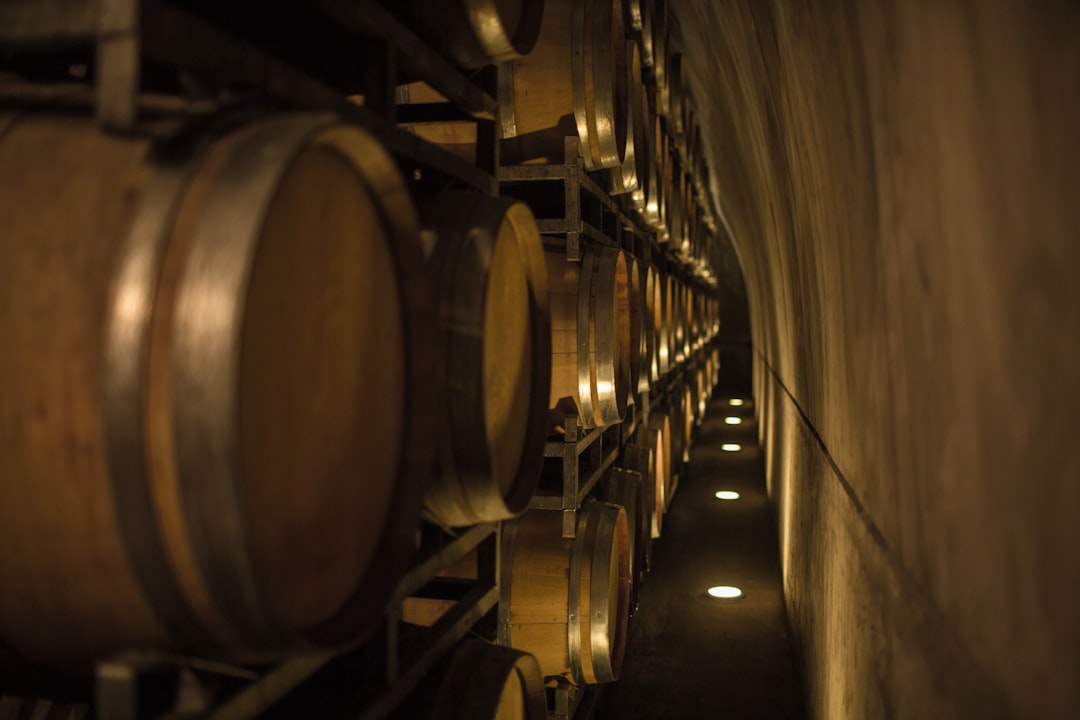Discover the Wine Experience in Mendoza, Argentina - Rivadavia 234 | Secret World Trip Planner