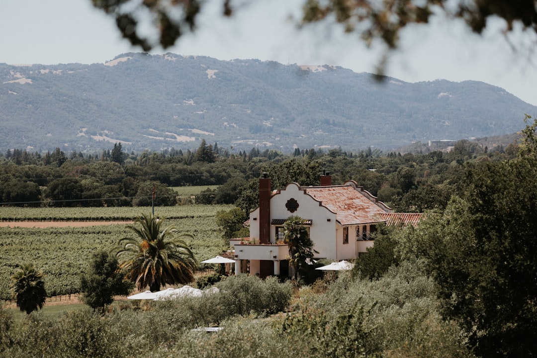 Sonoma Valley: The Magic of California Wines - Sonoma Valley | Secret World Trip Planner