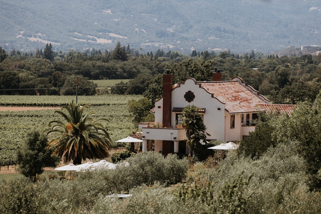 Sonoma Valley: Die Magie der kalifornischen Weine - Sonoma Valley | Secret World Trip Planner