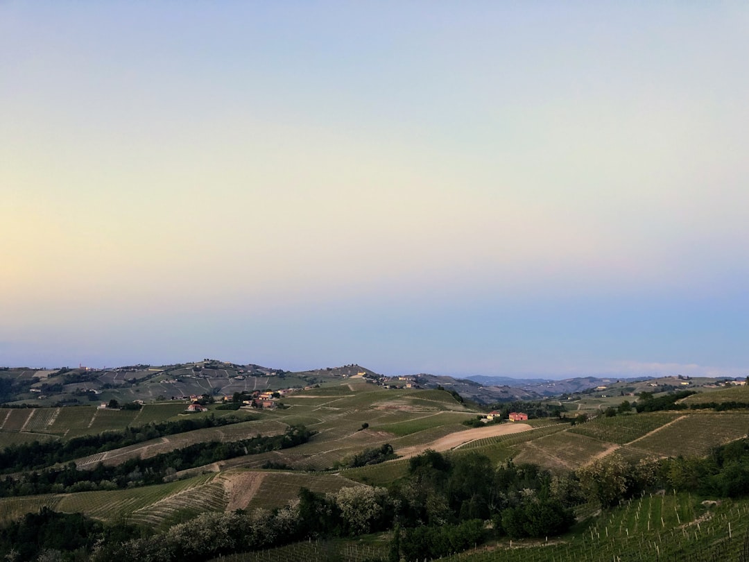 Scoprire le Langhe: un viaggio tra Barolo e Barbaresco - Langhe | Secret World Trip Planner