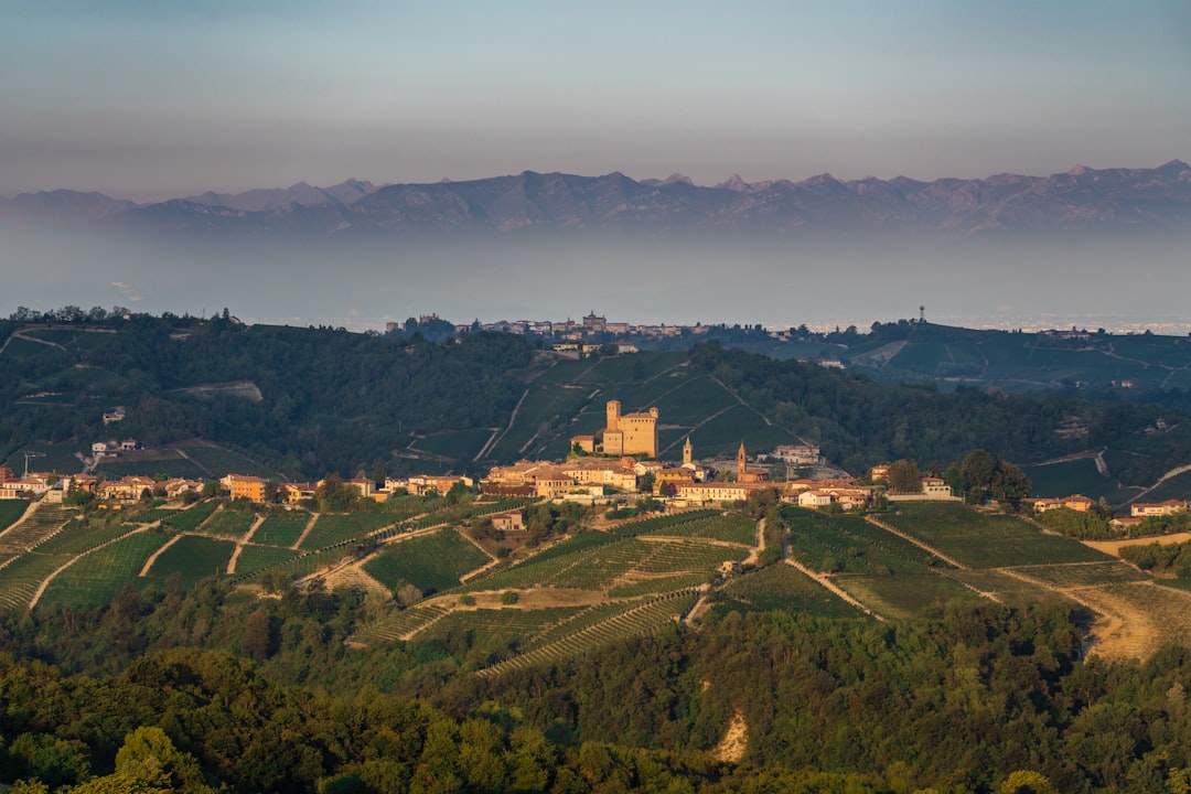 Scoprire le Langhe: un viaggio tra Barolo e Barbaresco - Langhe | Secret World Trip Planner