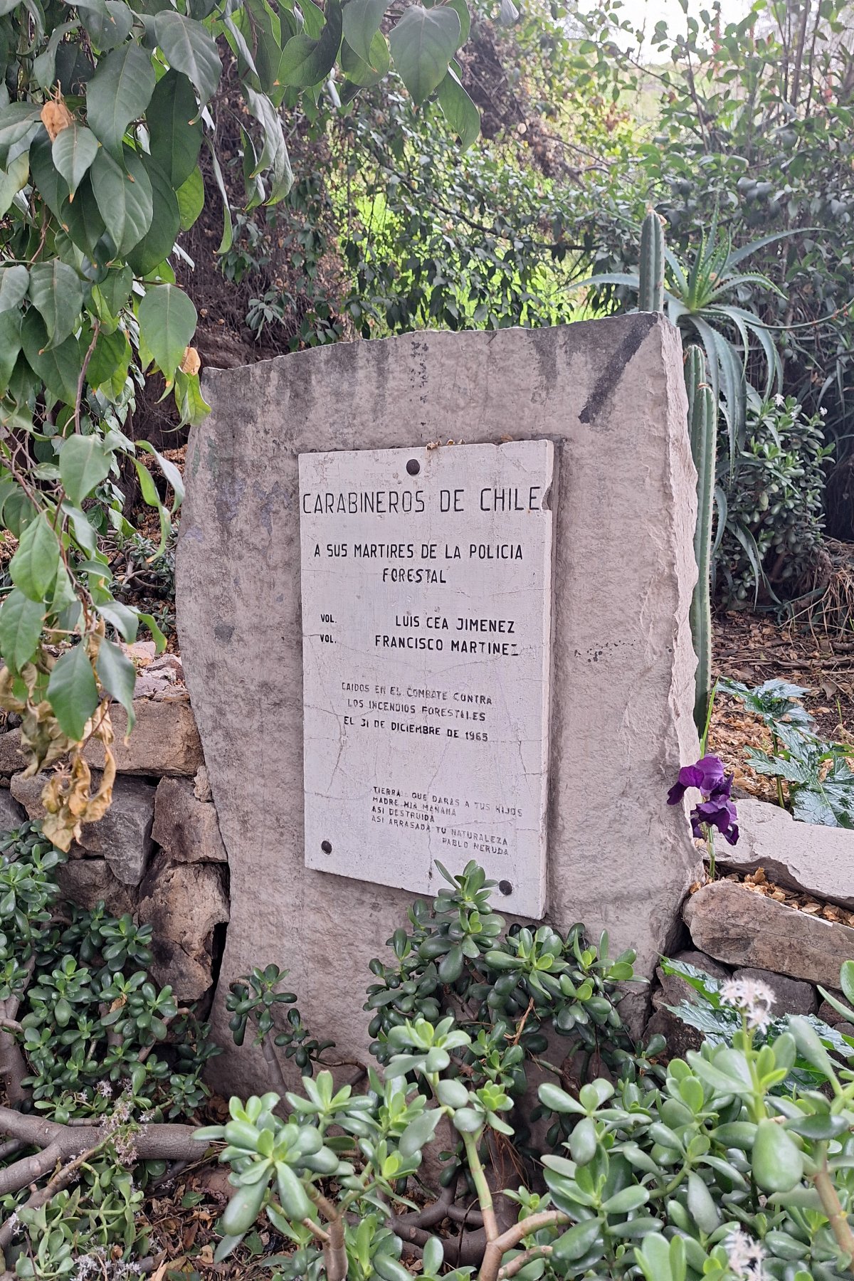Cerro Blanco: Die verborgenen Pfade Chiles — Recoleta