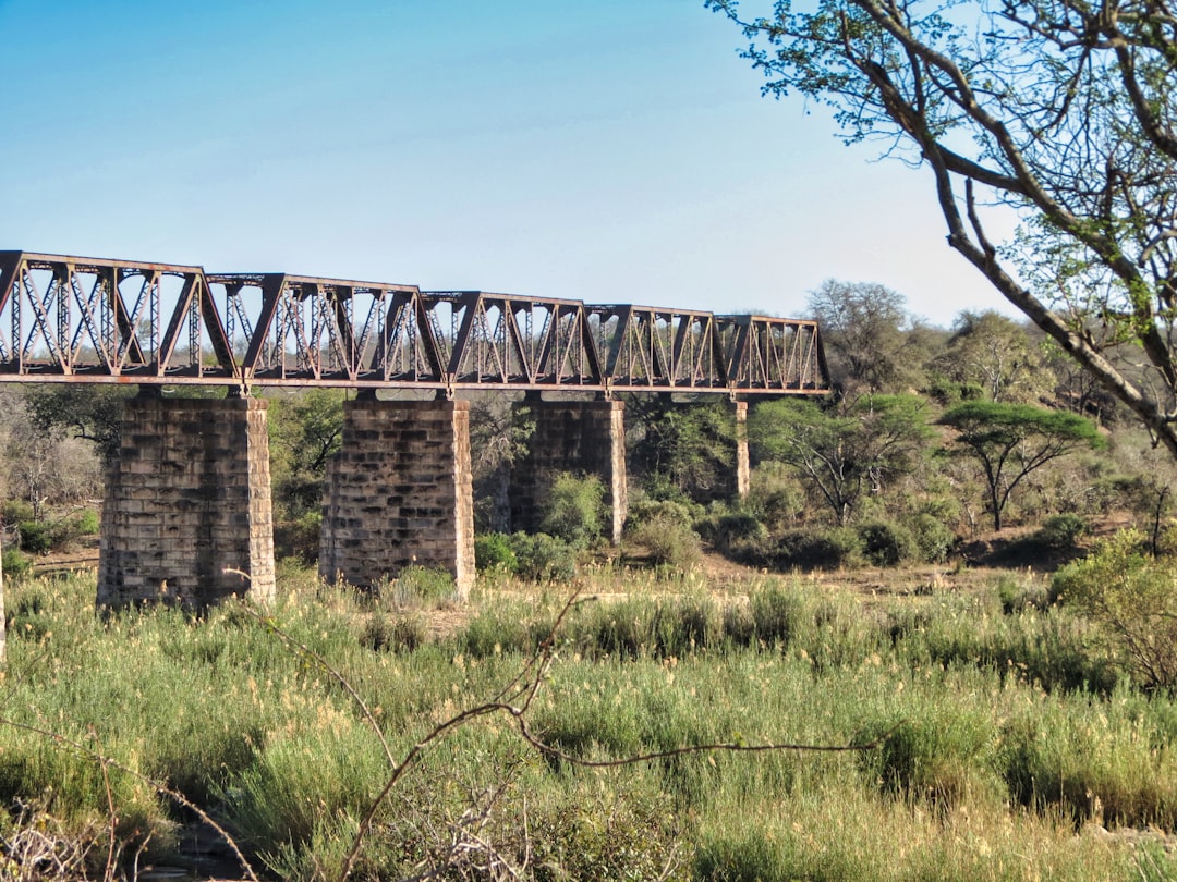 Skukuza: A Biodiversity Paradise in South Africa — Skukuza