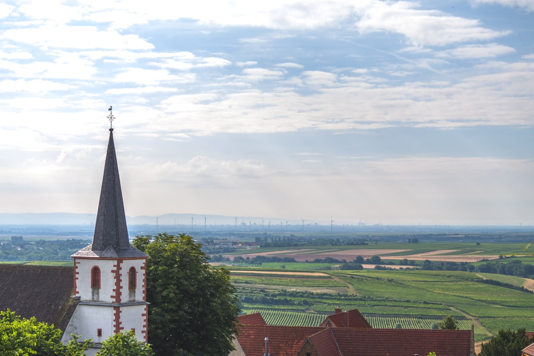 Sehenswürdigkeiten in Mannheim 2026: Unverzichtbare Orte - Mannheim | Secret World Trip Planner