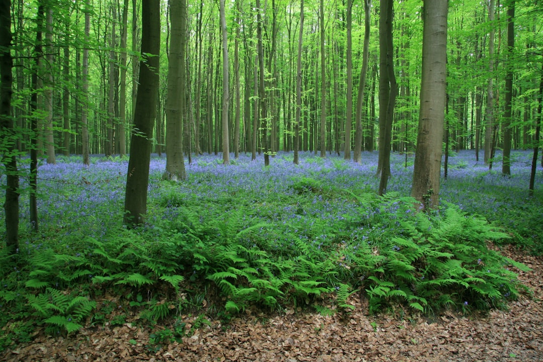 Wochenende in Halle mit Secret World: Perfekte Reiseplanung - Halle | Secret World Trip Planner