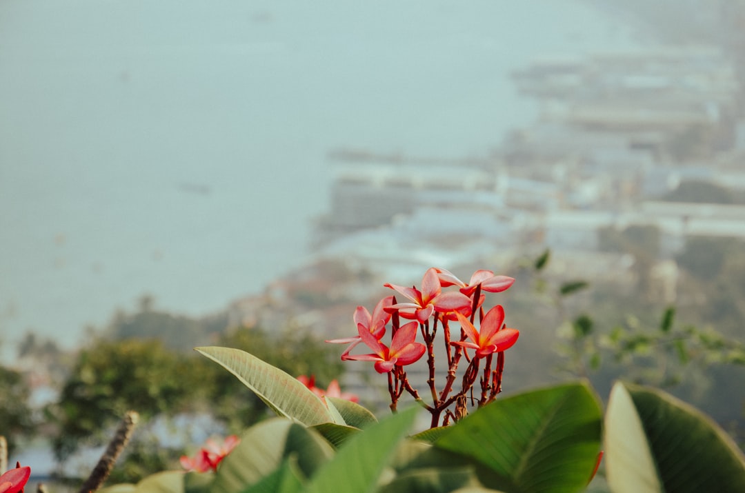 Top 5 Travel Apps for Porto 2026: Best Reviewed Apps - Porto | Secret World Trip Planner