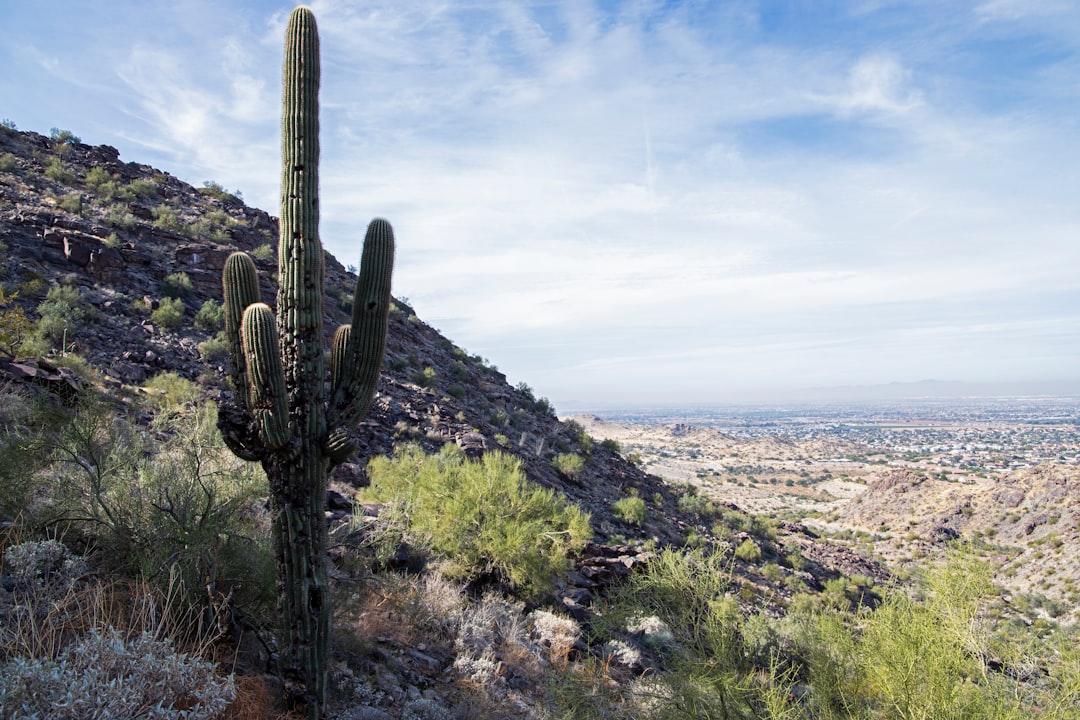 Top AI Travel Apps Phoenix 2026: Confronto e Scelta Migliore - Phoenix | Secret World Trip Planner