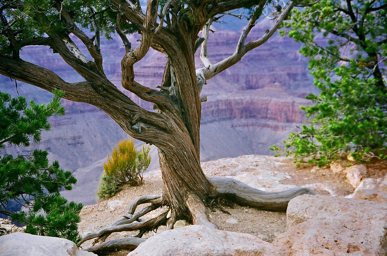 Top 5 Travel Apps Grand Canyon 2026: Le Migliori Scelte — Grand Canyon