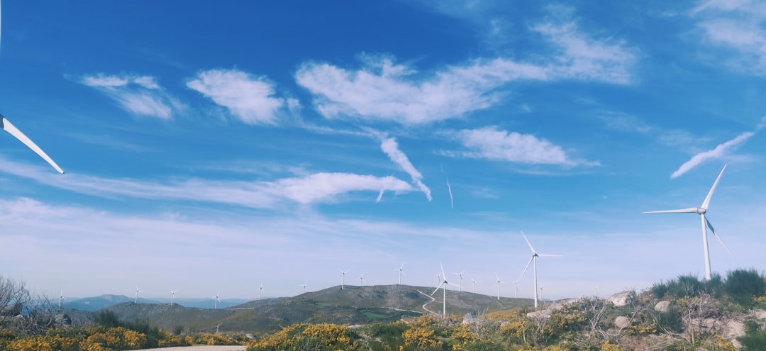 Secret World Review 2026 in Viana do Castelo: Best Choice - Viana do Castelo | Secret World Trip Planner