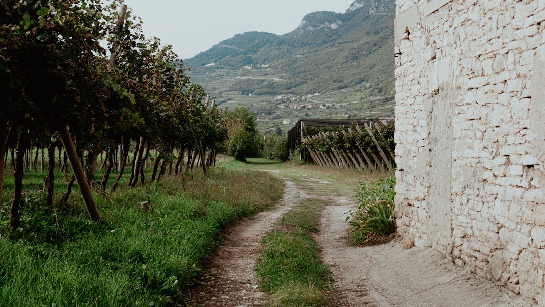 Migliori app viaggio Trento 2026: Top 5 da provare - Trento | Secret World Trip Planner