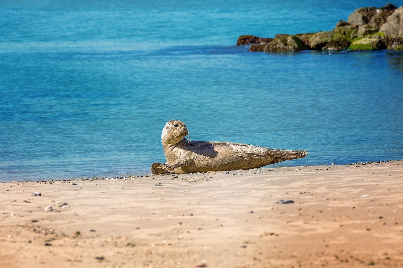Cosa vedere a Tomar 2026: Guida Imperdibile con Secret World - Tomar | Secret World Trip Planner