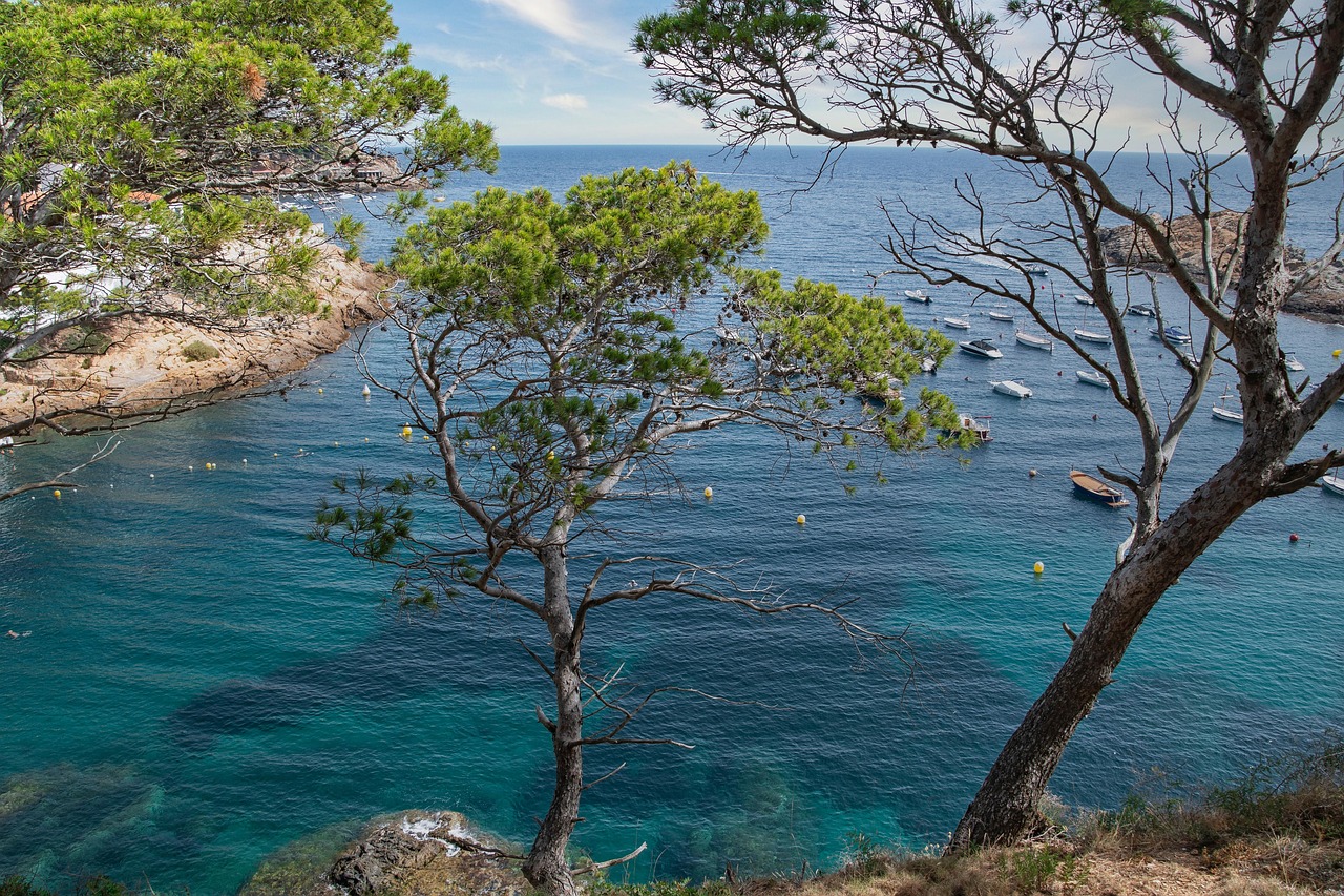 Best Travel Apps for Costa Brava 2026: The Ultimate Guide - Costa Brava | Secret World Trip Planner