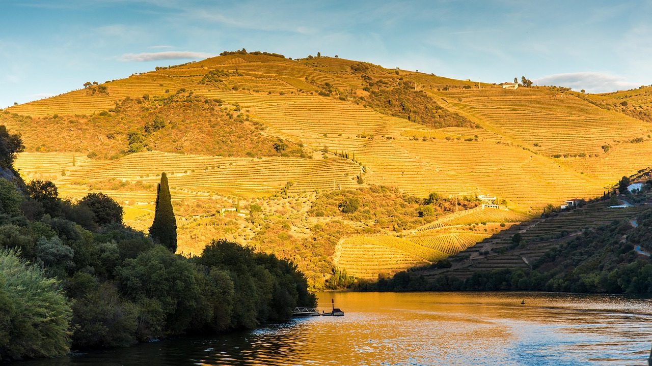 Weekend a Douro Valley con Secret World: la guida perfetta - Douro Valley | Secret World Trip Planner
