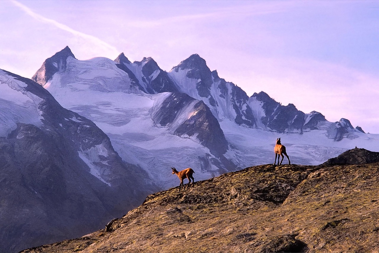 Itinerario perfetto Glacier National Park con AI — Glacier National Park