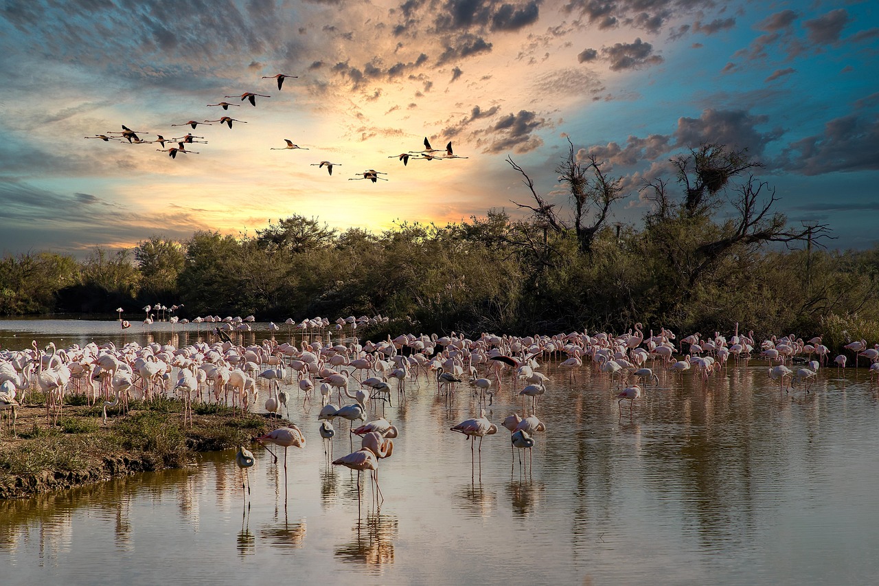 How to Visit Ponte de Lima with Secret World: 2026 Guide — Ponte de Lima