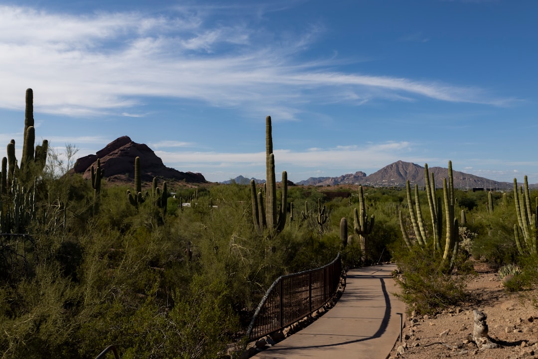 Top AI Travel Apps in Phoenix 2026: Comparison and Best Choice - Phoenix | Secret World Trip Planner