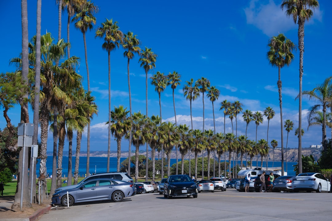 What to See in San Diego 2026: Updated Guide and Tips — San Diego