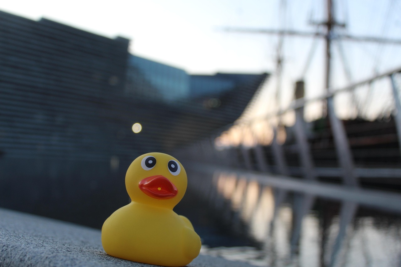 What to See in Dundee 2026: Must-See Guide with Secret World — Dundee