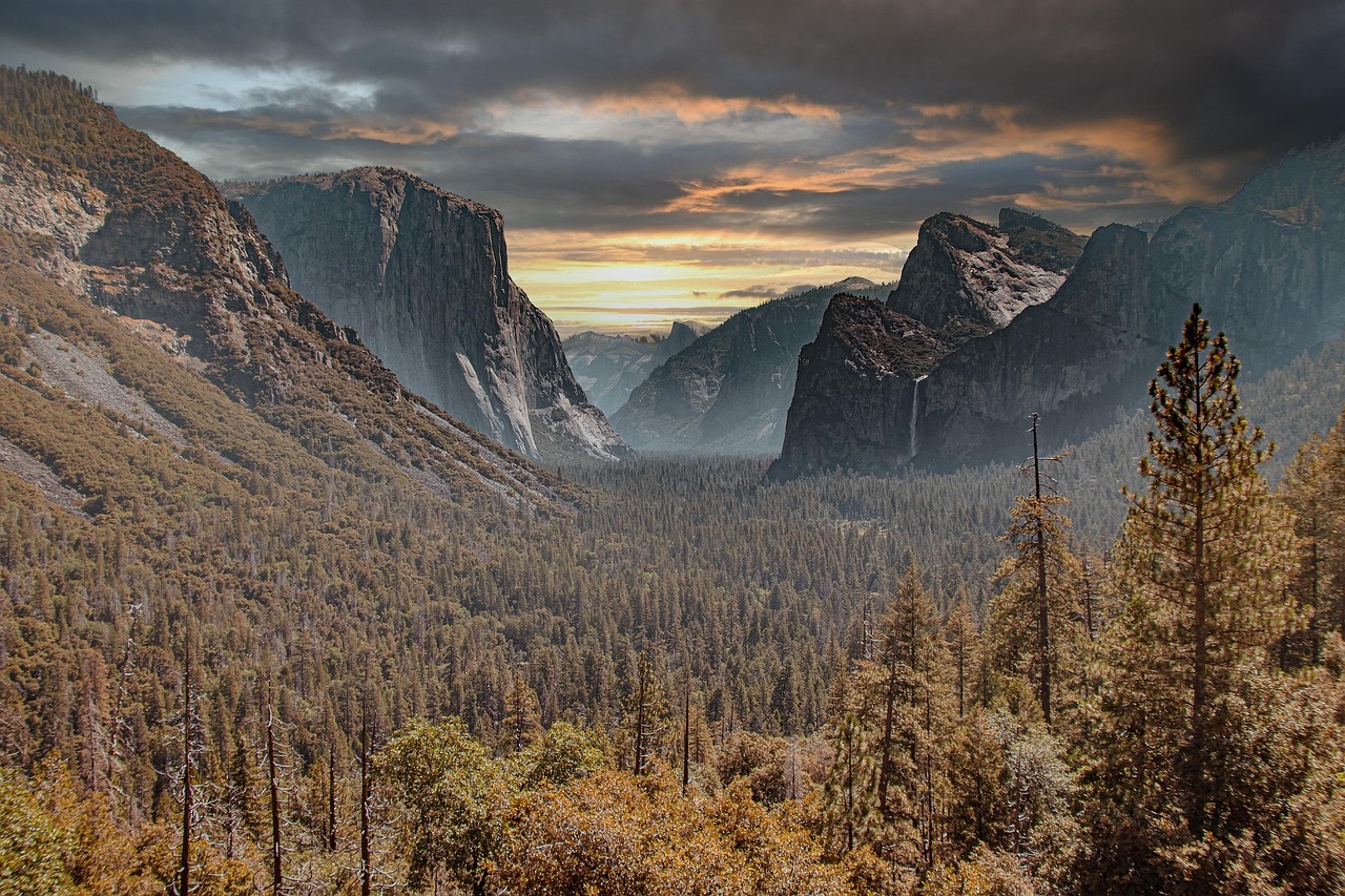 Best Yosemite Trip Planner 2026: Practical Guide to the Park — Yosemite